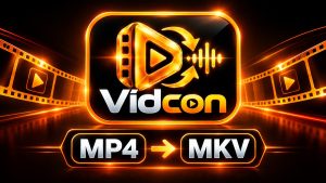 VidCon Free MP4 to MKV Video Converter